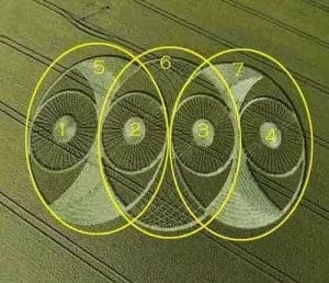 There are seven eyes to the spirit of G-d these are the seven lamps.  All the raised sections add to fourteen.