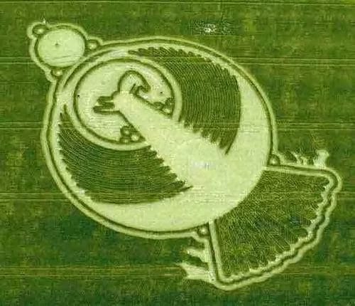 crop-circle-bird-6-12-09