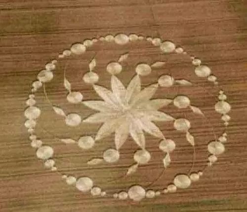 crop_circle120